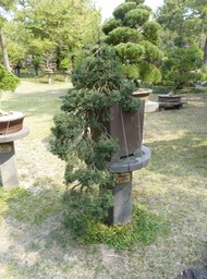 P1030335_2