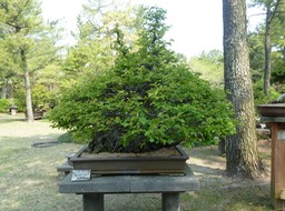 P1030336