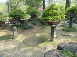 P1030337