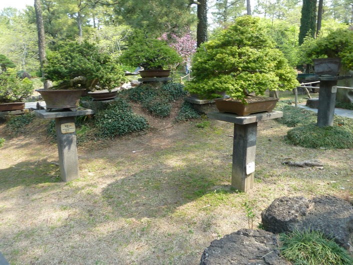 P1030337