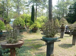 P1030339