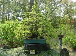 P1030340