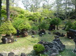 P1030342
