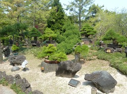 P1030344