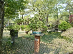 P1030346