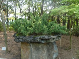 P1030348