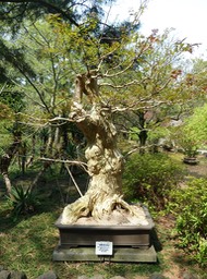 P1030349