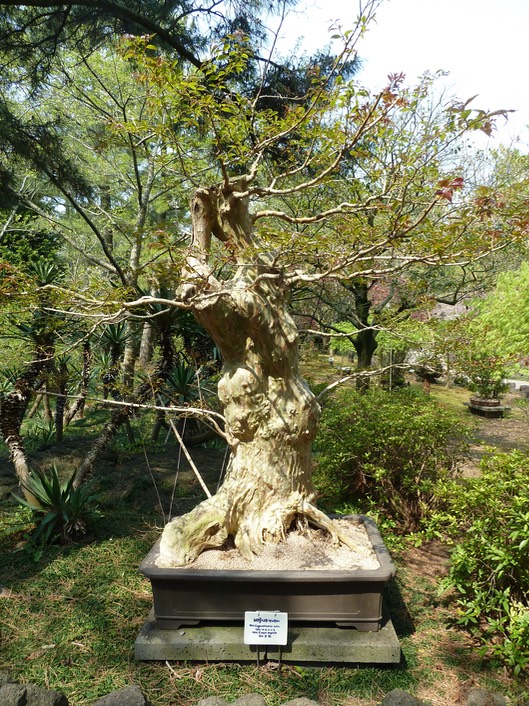 P1030349