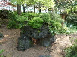 P1030350