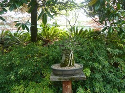 P1030352