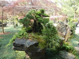 P1030353