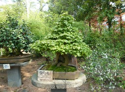 P1030354