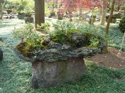 P1030356