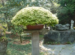 P1030357