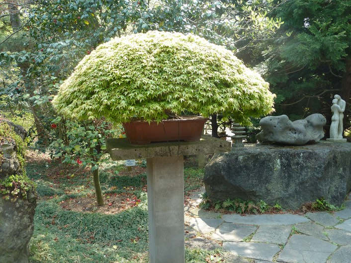 P1030357