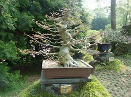 P1030358