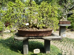 P1030359