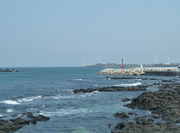 P1030371
