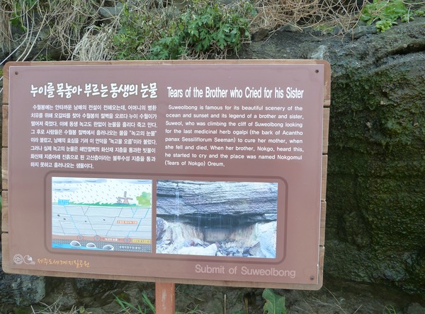 P1030376