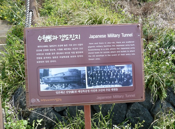 P1030377