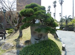 P1030389