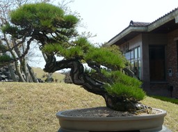 P1030392