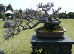 P1030394
