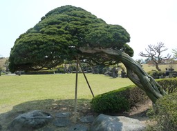 P1030396