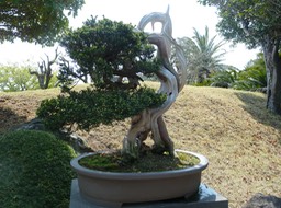 P1030399