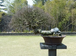 P1030401