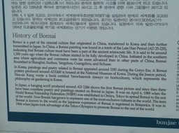 P1030403
