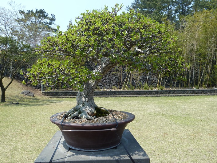 P1030406