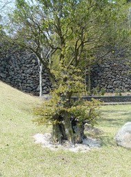 P1030408