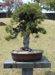 P1030412