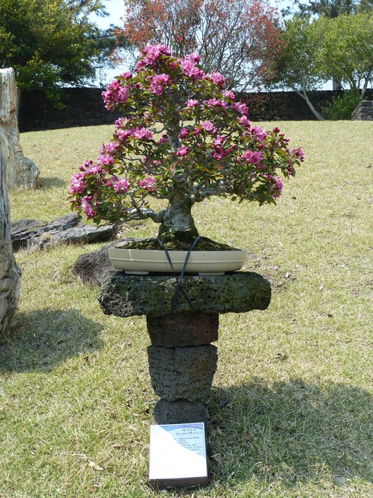 P1030413