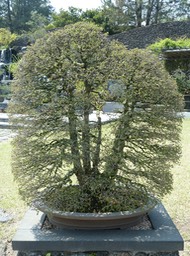 P1030419