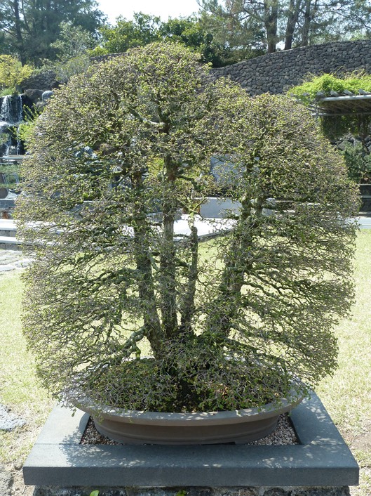 P1030419