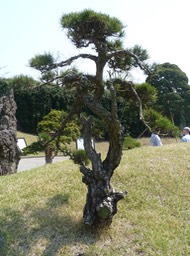 P1030420