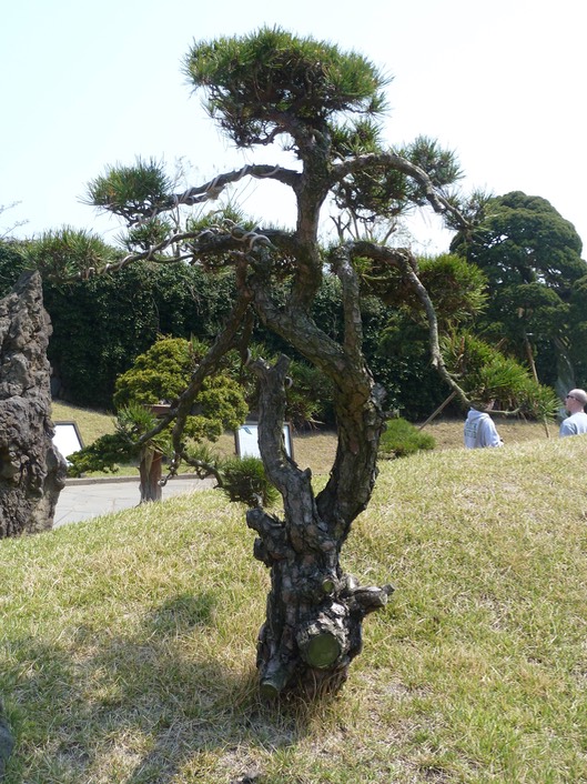 P1030420