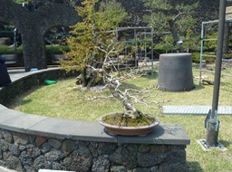P1030423