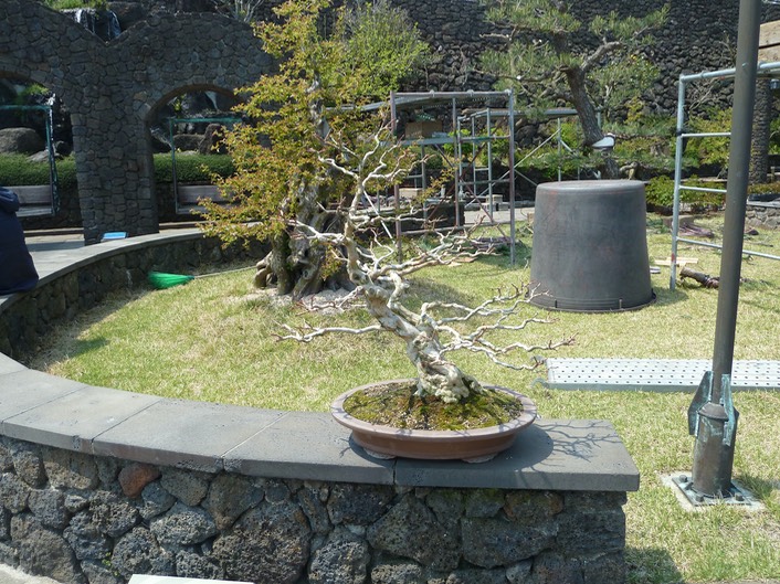P1030423