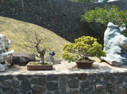 P1030427