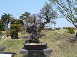 P1030429
