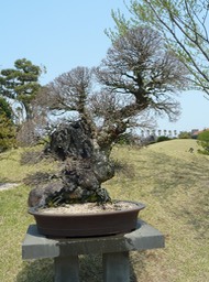 P1030433