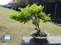 P1030434