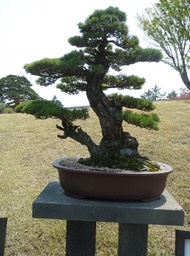 P1030435