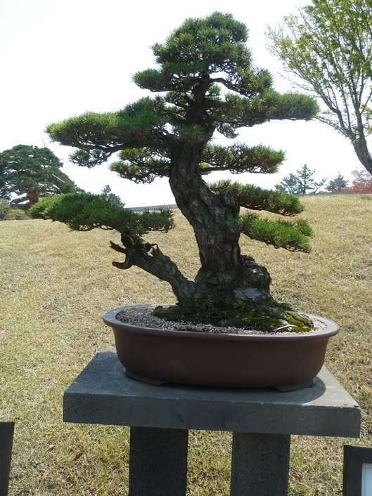 P1030435