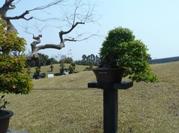 P1030436