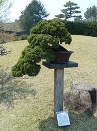 P1030439