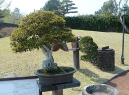 P1030440